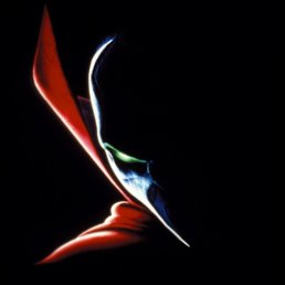 ���� �����, ����������� - ��������� 3 ���� 2017