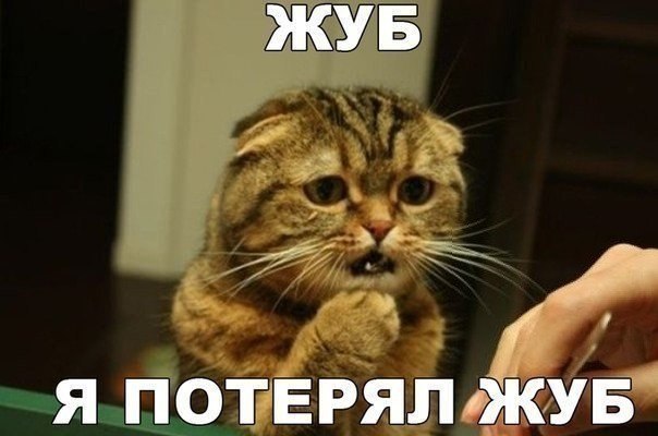 GIF - 10  2017  09:04