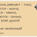 ���� �������, ��������, 56 ��� - ��������� 20 �������� 2017 � ������ ������ ��������