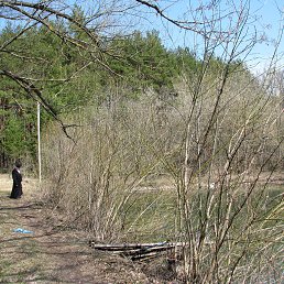 ������, �������, 66 ���