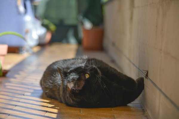      :3