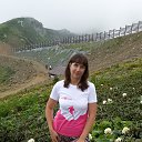 ���� ����������, ������-��-����, 41 ��� - ��������� 15 ���� 2017 � ������ ���� ����������