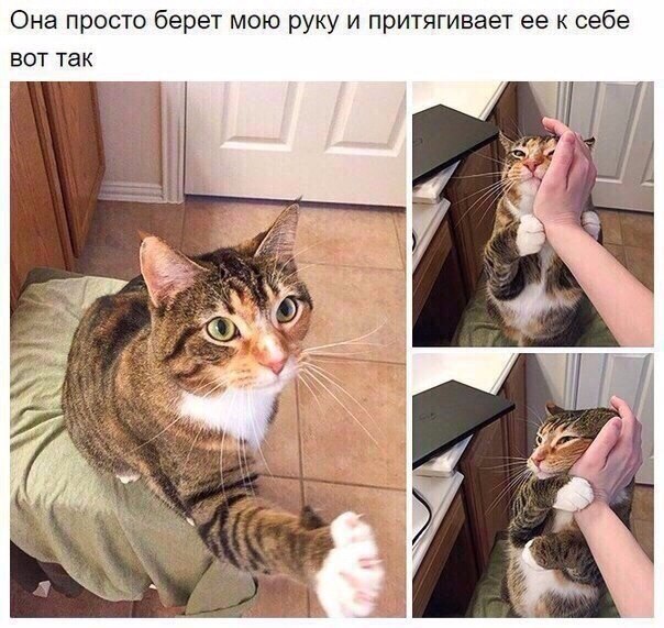 :3