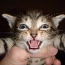 ����.�� ���� �����... �� ������� ���� ����������