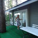  , , 52  -  10  2017    2017