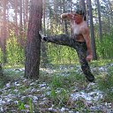 ���� ���������, �����, 71 ��� - ��������� 31 ��� 2017 � ������ ���� ����������