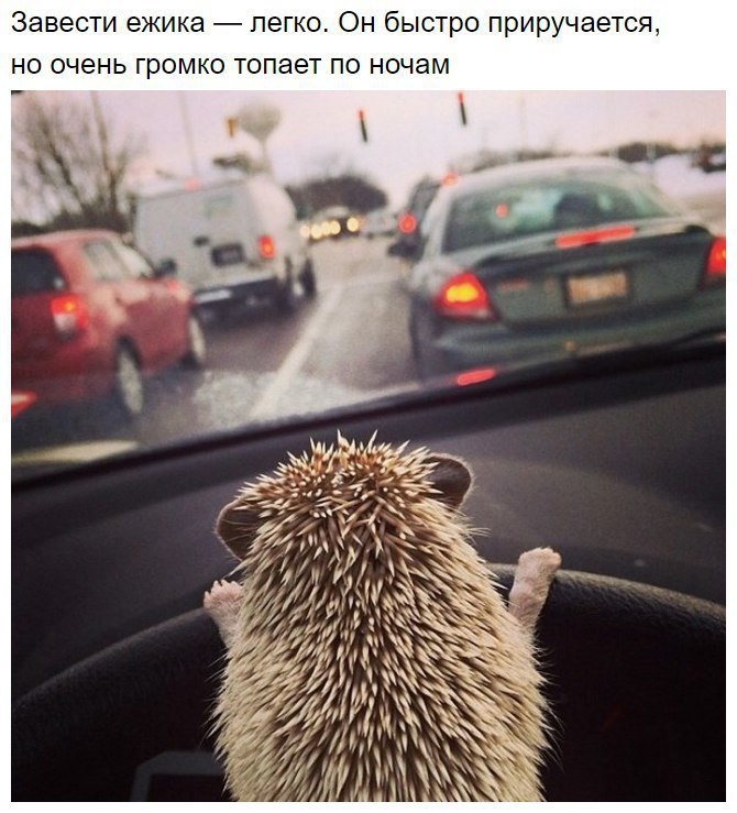     - 2