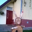 ���� Kazimieras, ����� - ��������� 25 ��� 2017 � ������ ���� ����������