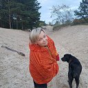 ���� �����, �����-���������, 54 ���� - ��������� 7 ������ 2017 � ������ ���� ����������