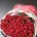 ���� ����, ������, 42 ���� - ��������� 7 ��� 2017 � ������ ���� ����������