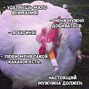  , , 49  -  11  2017    