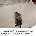 ���� ������, ������, 62 ���� - ��������� 16 ������� 2017 � ������ ������ ��������