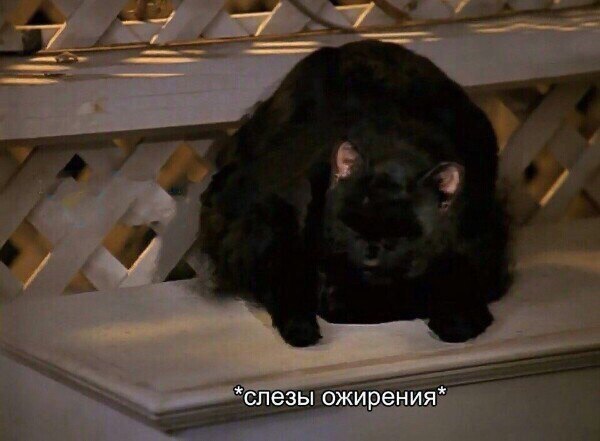         - 9
