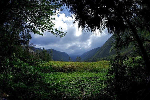  Waipio, 