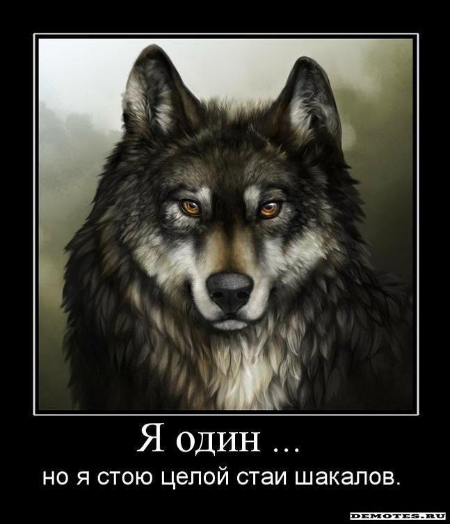   - 5  2017  09:58