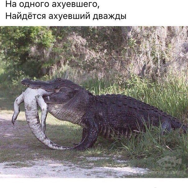  - 14  2017  13:17