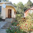 ���� �������, ���� - ��������� 8 ��� 2017 � ������ ������ ��������