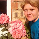  , , 39  -  19  2017     2017