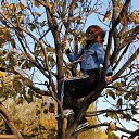 ���� �����, ������ ��� - ��������� 11 �������� 2017 � ������ ���� ����������