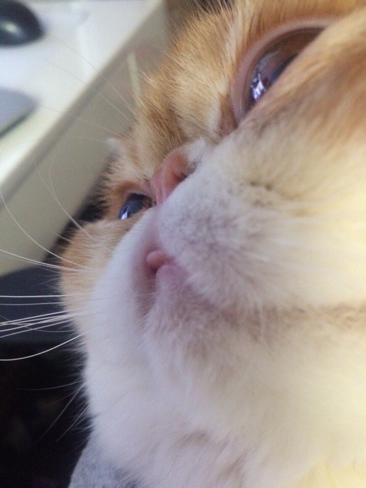    - 2