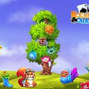 ���� ������, ����� - ��������� 13 ������� 2017 � ������ �������� �������-�������