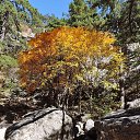  , , 60  -  16  2017        ,,14.10.17.