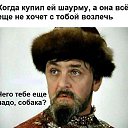 ���� �����., ���������, 50 ��� - ��������� 3 ������ 2017 � ������ ������ ��������