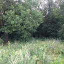 ���� ����, ��� - ��������� 2 ������� 2017 � ������ ������ ��������