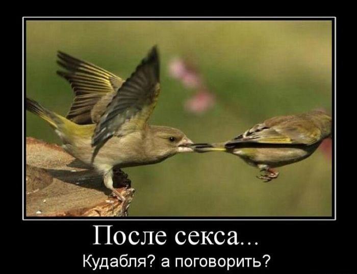      ,       ) - 47