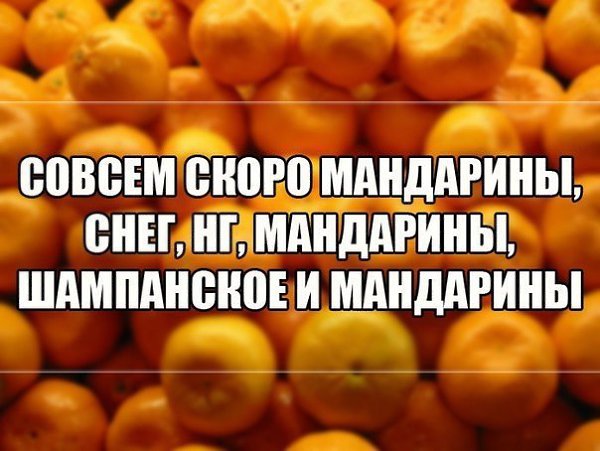    :D - 1  2017  08:01