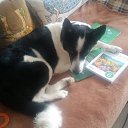 ���� �����, �����-���������, 54 ���� - ��������� 18 ������ 2017 � ������ ���� ����������