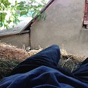 ���� �������, ������ - ��������� 25 ��� 2017