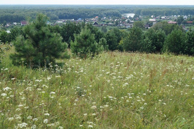 «Люди милые, здравствуйте!».-эти слова Василия Макаровича Шукшина уже несколько десятилетий служат ... - 3
