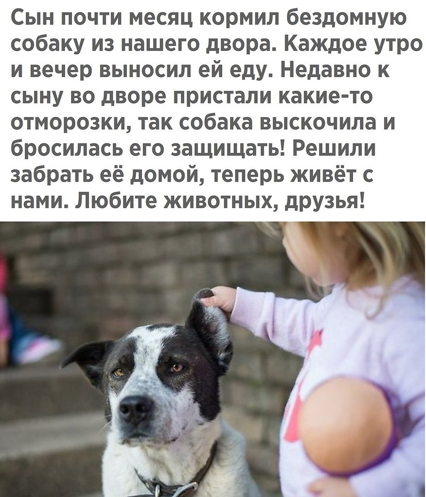 ������� - 15 ������ 2017 � 03:53