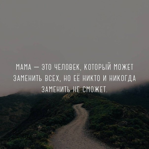   -  ,  -  - 16  2017  05:04