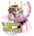 ���� ������, ������, 67 ��� - ��������� 4 ������� 2017