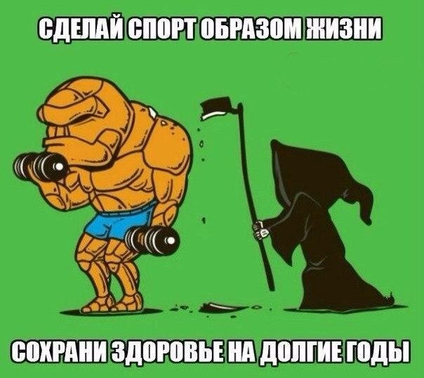 SportFeed - 4  2017  11:01