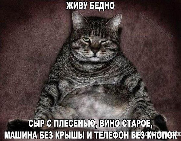    .     ))) - 34