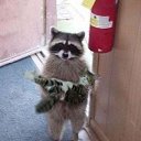 ���� Inga, ������ - ��������� 13 �������� 2017 � ������ �!!!�