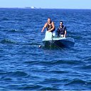 ���� ���������, ��������, 54 ���� - ��������� 8 ������� 2017 � ������ ������