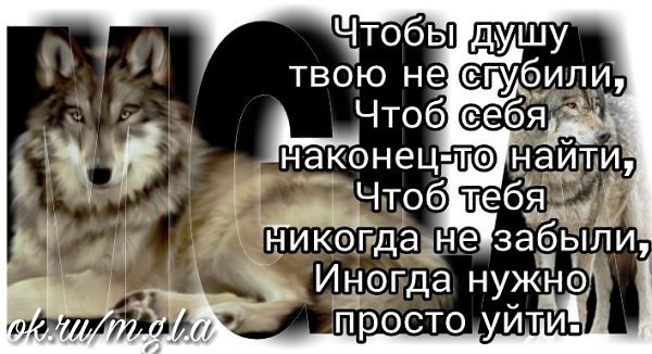   - 18  2017  15:19