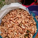  , , 54  -  15  2017   ܻ