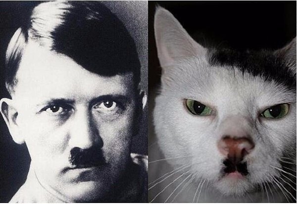 ��� ��� ���� ������