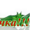 ���� ������, ������������ - ��������� 7 ��� 2017 � ������ �vk.com/fotokubiki�