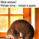 ���� �����, ������������ - ��������� 25 ��� 2017 � ������ ������ ��������