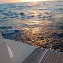 ���� �������, ������, 54 ���� - ��������� 29 ���� 2017 � ������ ���� ����������