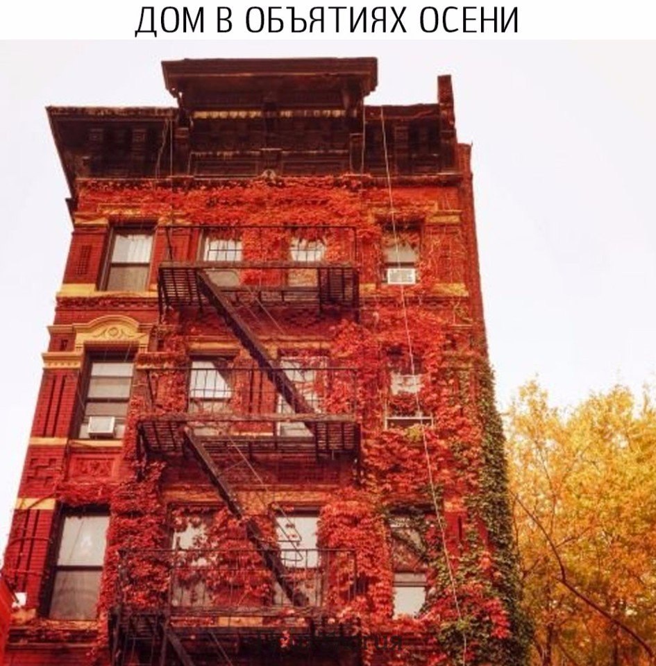 ���������� - 19 ������� 2017 � 13:37