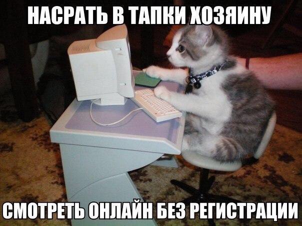 Надеюсь, юмор позволит нам продержаться после Праздников до ВЫХОДНЫХ!!! Муж пришёл с работы злой. ...