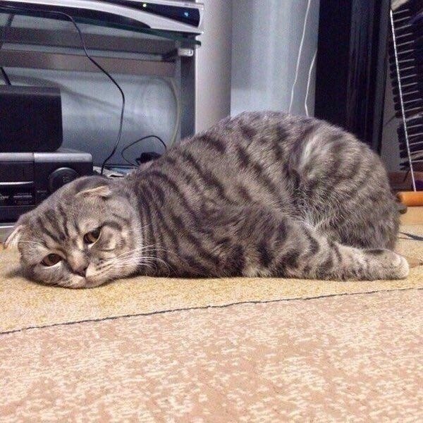  , ,   .   , ,  !