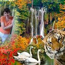 ���� �����, ��������, 44 ���� - ��������� 9 ���� 2017 � ������ ���� ����������